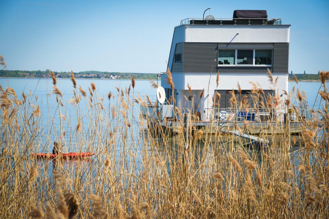 Goitzsche Resort Bitterfeld-Wolfen Eksteriør bilde